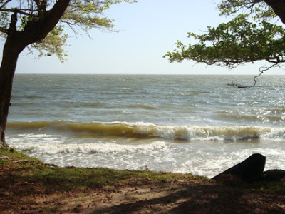 Pará mostra tradição, modernidade e riquezas naturais