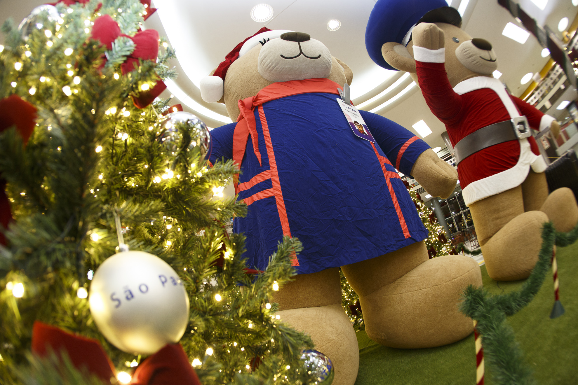 Confira as fotos dos ursos gigantes da decoração de Natal do Aeroporto de Congonhas