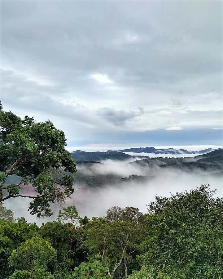 Monte Verde: pousadas intimistas e trilhas ecológicas