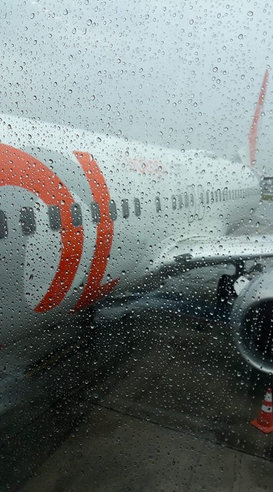 Foto de Gil Mari