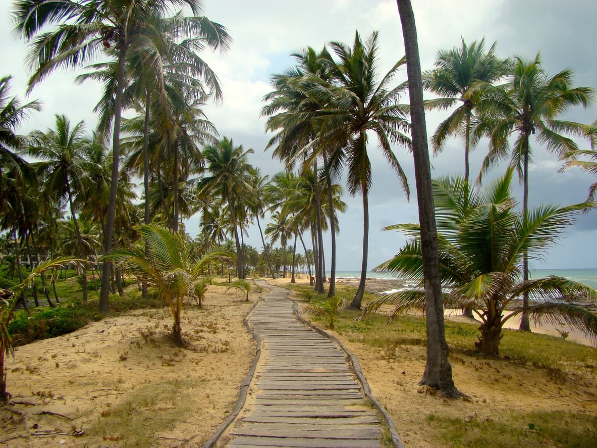 Confira a programação na Costa do Sauípe para o Reveillon