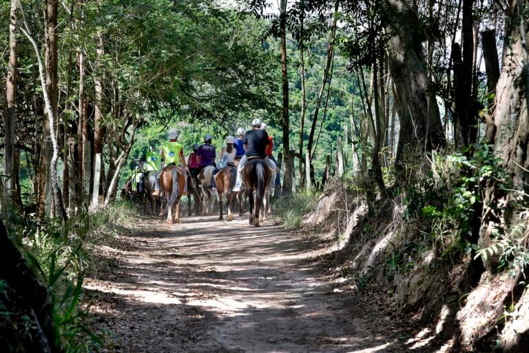 Hotel Campo dos Sonhos oferece contato com a natureza e acessibilidade