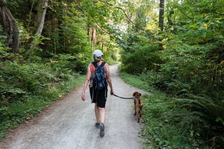6 razões pelas quais você deve viajar com seu cão