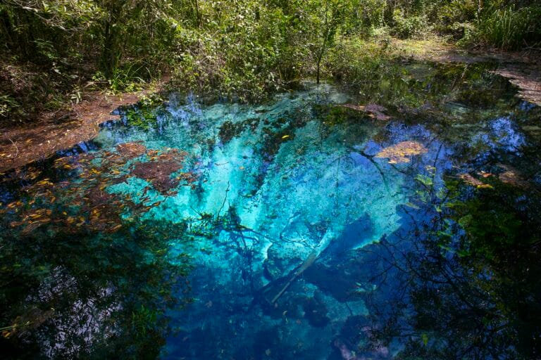Bonito é destino de ecoturismo que destaca sustentabilidade e responsabilidade ambiental