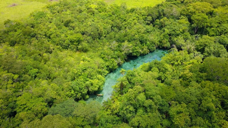 Bonito: proteção ambiental na Nascente Azul garante águas cristalinas