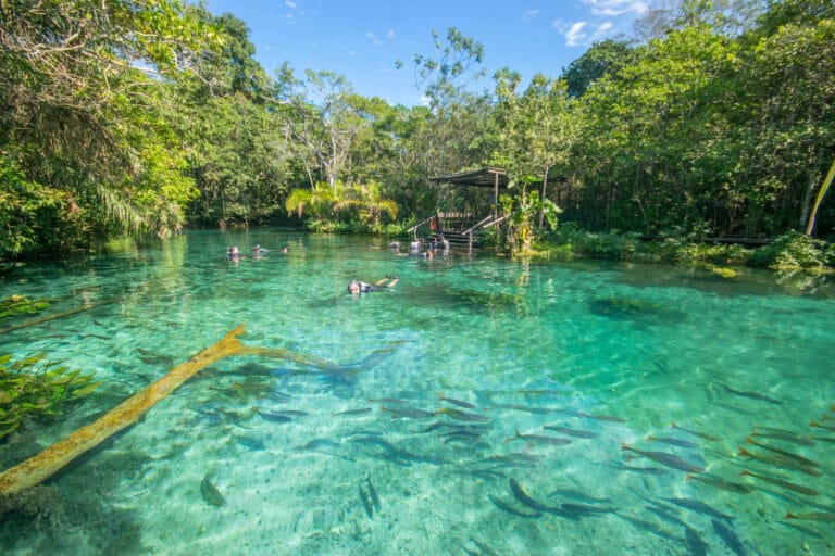 Conheça o trabalho de conservação ambiental na Nascente Azul