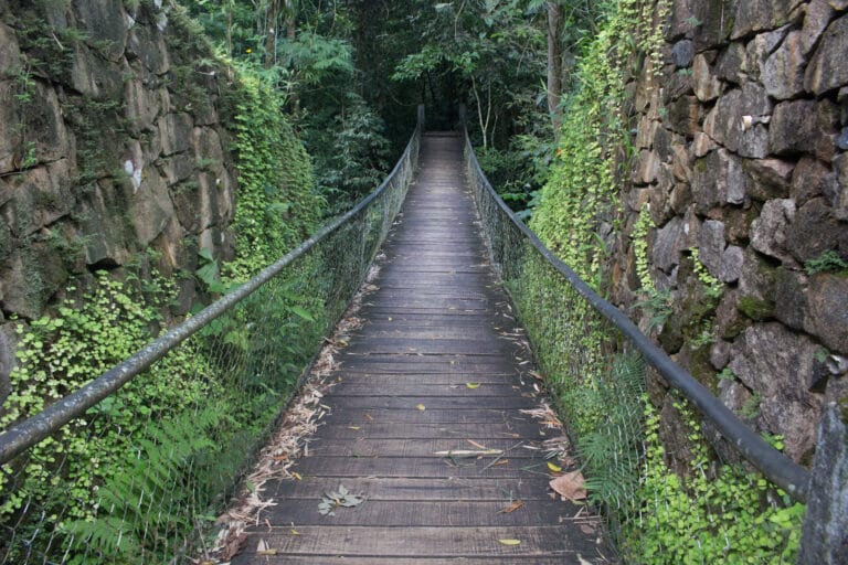 Litoral Norte de SP tem áreas de proteção ambiental que reforçam o turismo verde