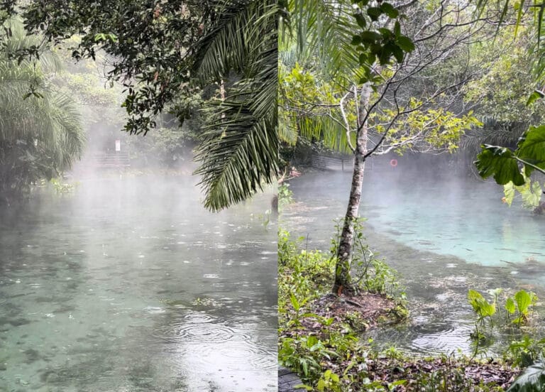 Bonito: baixas temperaturas criam visual único na Nascente Azul