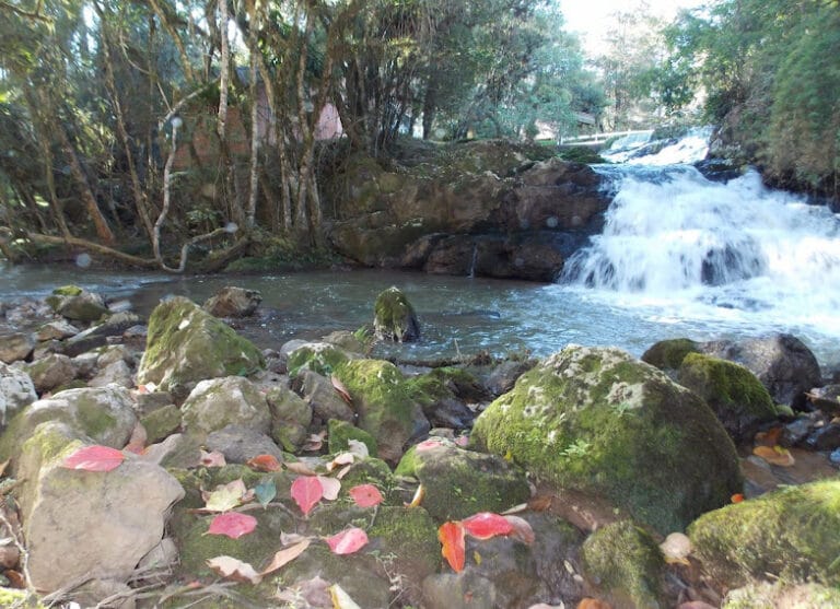 Campo Alegre se consagra entre os principais destinos contemplativos do Brasil