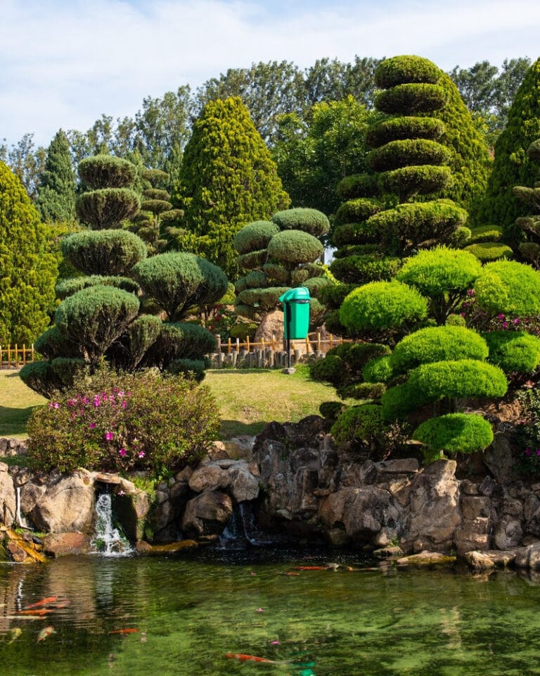 Descubra onde fica um dos maiores jardins japoneses da América Latina