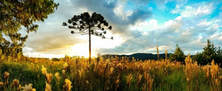 Vale do Bom Jardim é destino pouco explorado na Serra da Mantiqueira