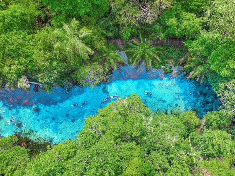 Nascente Azul recebe selo Travellers’ Choice do Tripadvisor