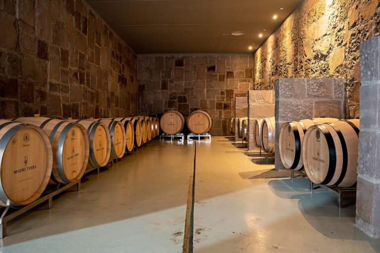Vinícola Madre Terra leva agricultura regenerativa e rótulos exclusivos à ProWine
