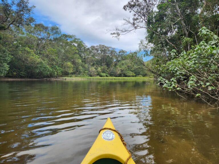 Ecoturismo, cultura e gastronomia marcam a primavera no Litoral Norte de São Paulo